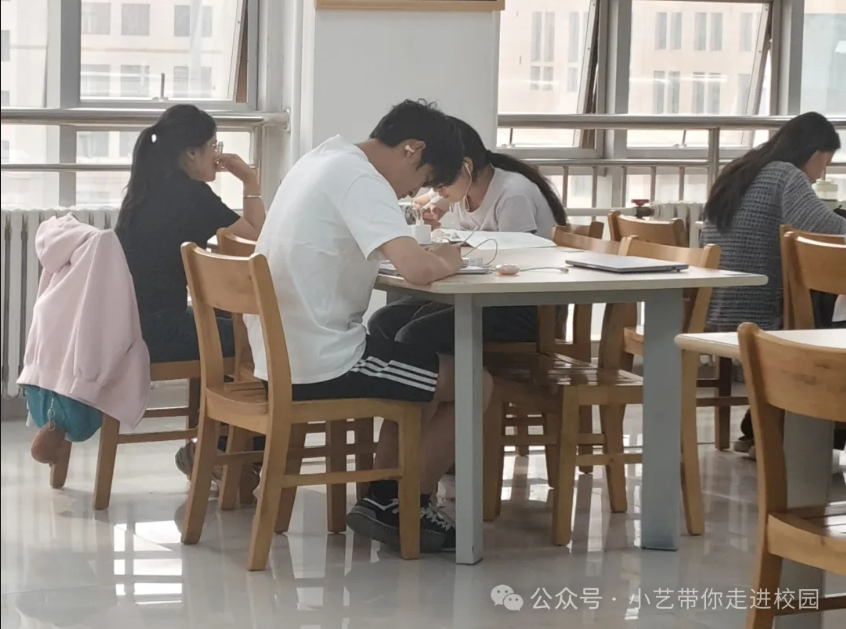 笔墨耕耘，学海逐梦的“奋斗美人”